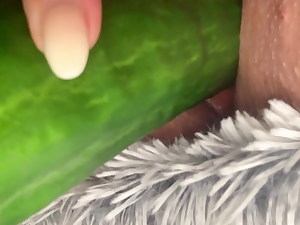 Masturbationen on every side cucumber